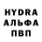 А ПВП крисы CK Hector Andem