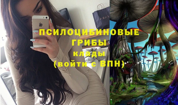 спайс Алзамай