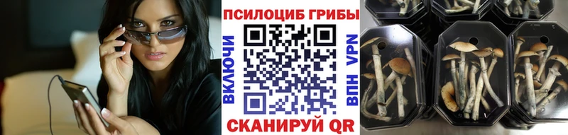 Галлюциногенные грибы ЛСД  Балабаново 